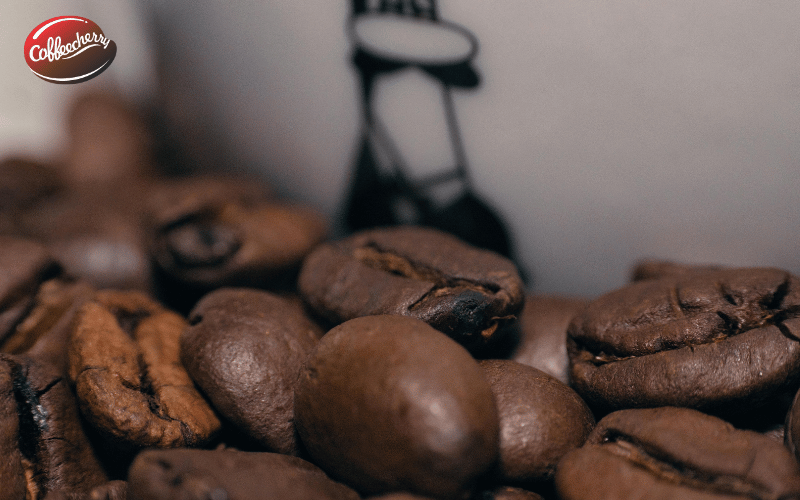 ca-phe-robusta-fine-la-gi-khac-robusta-dai-tra-o-diem-nao (4)